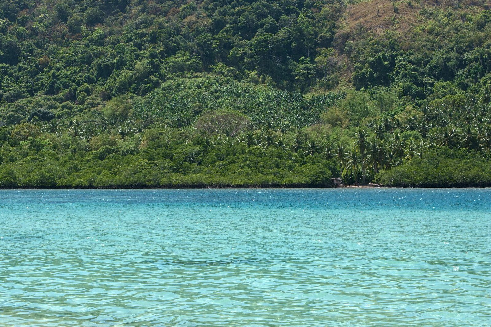 Philippine coastline